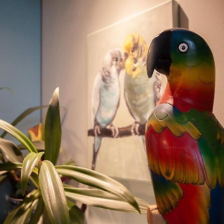Apartament U Olechny 5 Bydhošť Exteriér fotografie