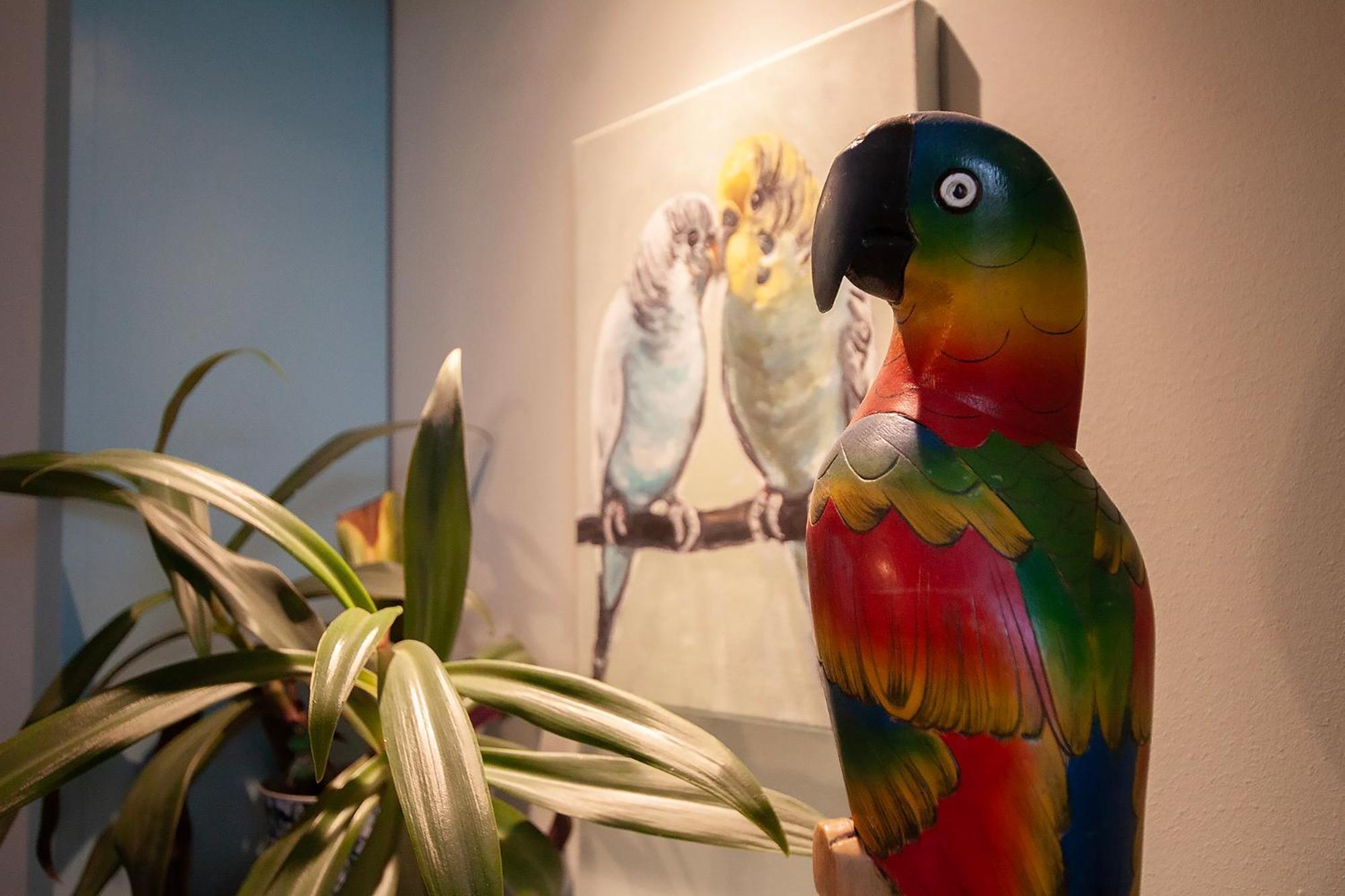 Apartament U Olechny 5 Bydhošť Exteriér fotografie